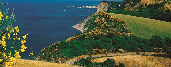 Pesaro, Colle San Bartolo